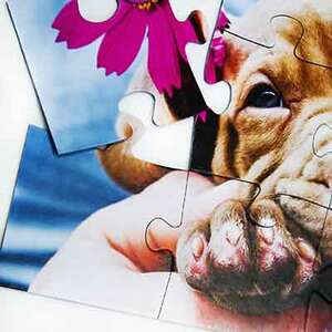 Eigenes Puzzle 12 XXL Teile - €  15.59