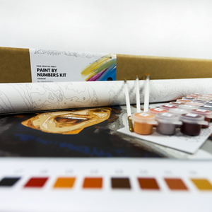 Malen nach Zahlen 35x50 - €  29.99